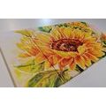 5-PIECE CANVAS PRINT BEAUTIFUL SUNFLOWER - PICTURES FLOWERS - PICTURES