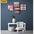 CANVAS PRINT SET BEAUTIFUL IMITATION OF AN OIL PAINTING IN A PINK COLOR - SET OF PICTURES - PICTURES