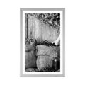 POSTER WITH MOUNT MEDICINAL HERBS IN BLACK AND WHITE - BLACK AND WHITE - POSTERS