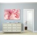 CANVAS PRINT FLOWER PETALS - PICTURES FLOWERS - PICTURES