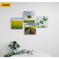 CANVAS PRINT SET DAZZLING NATURE - SET OF PICTURES - PICTURES