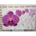 CANVAS PRINT ORCHID ON AN ABSTRACT BACKGROUND - PICTURES FLOWERS - PICTURES