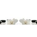 CANVAS PRINT WHITE FLOWERS OF AN ORCHID - PICTURES FENG SHUI - PICTURES