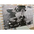 CANVAS PRINT ORCHID AND ZEN STONES IN BLACK AND WHITE - BLACK AND WHITE PICTURES - PICTURES