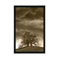 POSTER SEPIA LONELY TREES - BLACK AND WHITE - POSTERS