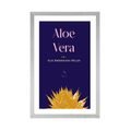 AFFICHE AVEC MONTURE ET INSCRIPTION ALOE VERA - DE NOTRE ATELIER - AFFICHES