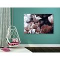 CANVAS PRINT SPRING TULIPS IN A PARK - PICTURES FLOWERS - PICTURES