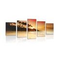 5-PIECE CANVAS PRINT SUNSET IN SRI LANKA - PICTURES OF NATURE AND LANDSCAPE - PICTURES