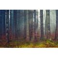 SELF ADHESIVE WALL MURAL SECRET OF THE FOREST - SELF-ADHESIVE WALLPAPERS - WALLPAPERS