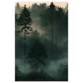 CANVASTAVLA STILLA SKOG I DIMMA - TAVLOR MED SKOG - TAVLOR
