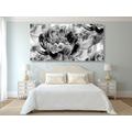 CANVAS PRINT PEONIES IN BLACK AND WHITE - BLACK AND WHITE PICTURES - PICTURES