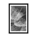 POSTER WITH MOUNT BLACK AND WHITE MACRO DANDELION ON THE BACKGROUND - BLACK AND WHITE - POSTERS