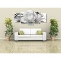 5-PIECE CANVAS PRINT LUXURY ROSE IN BLACK AND WHITE - BLACK AND WHITE PICTURES - PICTURES