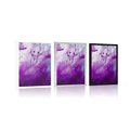 POSTER MAGICAL PURPLE ABSTRACTION - ABSTRACT AND PATTERNED - POSTERS