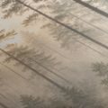 CANVASTAVLA 5-DELAD LIVETS TRÄD I DIMMA - TAVLOR MED SKOG - TAVLOR