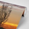 WALL MURAL BRANCHES IN THE SUNSET - WALLPAPERS NATURE - WALLPAPERS