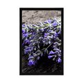 POSTER BLUMENSTRAUSS MIT LAVENDEL - BLUMEN - POSTER