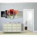 5-PIECE CANVAS PRINT ROSE WITH ABSTRACT ELEMENTS - PICTURES FLOWERS - PICTURES