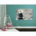 CANVAS PRINT HARMONIOUS STONES AND PLUMERIA FLOWER - PICTURES FENG SHUI - PICTURES