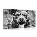 CANVAS PRINT ILLUSTRATION OF A DOG IN BLACK AND WHITE - BLACK AND WHITE PICTURES - PICTURES