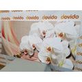 WANDBILD WEISSE ORCHIDEE AUF LEINWAND - BILDER BLUMEN - BILDER