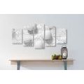 5-PIECE CANVAS PRINT LUXURY IN BLACK AND WHITE - BLACK AND WHITE PICTURES - PICTURES