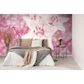 WALL MURAL LILY ON A PINK BACKGROUND - WALLPAPERS FLOWERS - WALLPAPERS