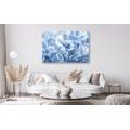 CANVAS PRINT HYDRANGEA FLOWERS IN A BLUE-WHITE SHADES - PICTURES FLOWERS - PICTURES