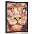 AFFICHE VISAGE DE LION - LES ANIMAUX - AFFICHES