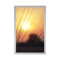 POSTER SUNRISE OVER THE MEADOW - NATURE - POSTERS