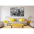 CANVAS PRINT VINTAGE ROSE IN BLACK AND WHITE - BLACK AND WHITE PICTURES - PICTURES