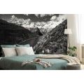 SELF ADHESIVE WALL MURAL PARK PATAGONIA IN ARGENTINA IN BLACK AND WHITE - SELF-ADHESIVE WALLPAPERS - WALLPAPERS