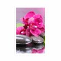 POSTER ORCHID WITH A TOUCH OF RELAXATION - FENG SHUI - POSTERS