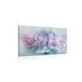 CANVAS PRINT COLOR ABSTRACTION - ABSTRACT PICTURES - PICTURES