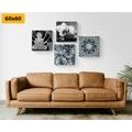 CANVAS PRINT SET INTERESTING FENG SHUI COMBINATION - SET OF PICTURES - PICTURES