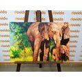 CANVAS PRINT ELEPHANT FAMILY - PICTURES OF ANIMALS - PICTURES