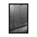 POSTER WEG ZUM WALD - SCHWARZ-WEISS - POSTER