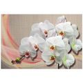 TAPETA BÍLÁ ORCHIDEJ NA PLÁTNĚ - TAPETY KVĚTINY - TAPETY