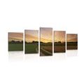 IMPRESSION SUR TOILE EN 5 PARTIES COUCHER DE SOLEIL SUR LE PAYSAGE - IMPRESSION SUR TOILE DE NATURE ET PAYSAGE - IMPRESSION SUR TOILE