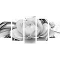 5-PIECE CANVAS PRINT LUXURY ROSE IN BLACK AND WHITE - BLACK AND WHITE PICTURES - PICTURES