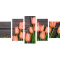 5-TEILIGES WANDBILD BEZAUBERNDE ORANGE TULPEN AUF HÖLZERNEM HINTERGRUND - BILDER BLUMEN - BILDER