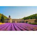 WALL MURAL PROVENCE WITH LAVENDER FIELDS - WALLPAPERS CITIES - WALLPAPERS