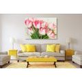 CANVAS PRINT SPRING TULIPS - PICTURES FLOWERS - PICTURES