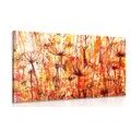 CANVAS PRINT DANDELION IN SHADES OF ORANGE - ABSTRACT PICTURES - PICTURES
