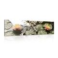 CANVAS PRINT LOTUS FLOWER IN THE GARDEN - PICTURES FLOWERS{% if product.category.pathNames[0] != product.category.name %} - PICTURES{% endif %}