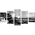 5-PIECE CANVAS PRINT FENG SHUI STILL LIFE IN BLACK AND WHITE - BLACK AND WHITE PICTURES - PICTURES