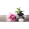 CANVAS PRINT HARMONIOUS ZEN STILL LIFE - PICTURES FENG SHUI - PICTURES