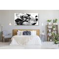 CANVAS PRINT MAGICAL INTERPLAY OF STONES AND ORCHIDS IN BLACK AND WHITE - BLACK AND WHITE PICTURES - PICTURES