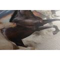 CANVAS PRINT HERD OF HORSES - PICTURES - 🔥 TOTAL SALE 🔥