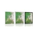 POSTER DANDELION SEED - FLOWERS - POSTERS